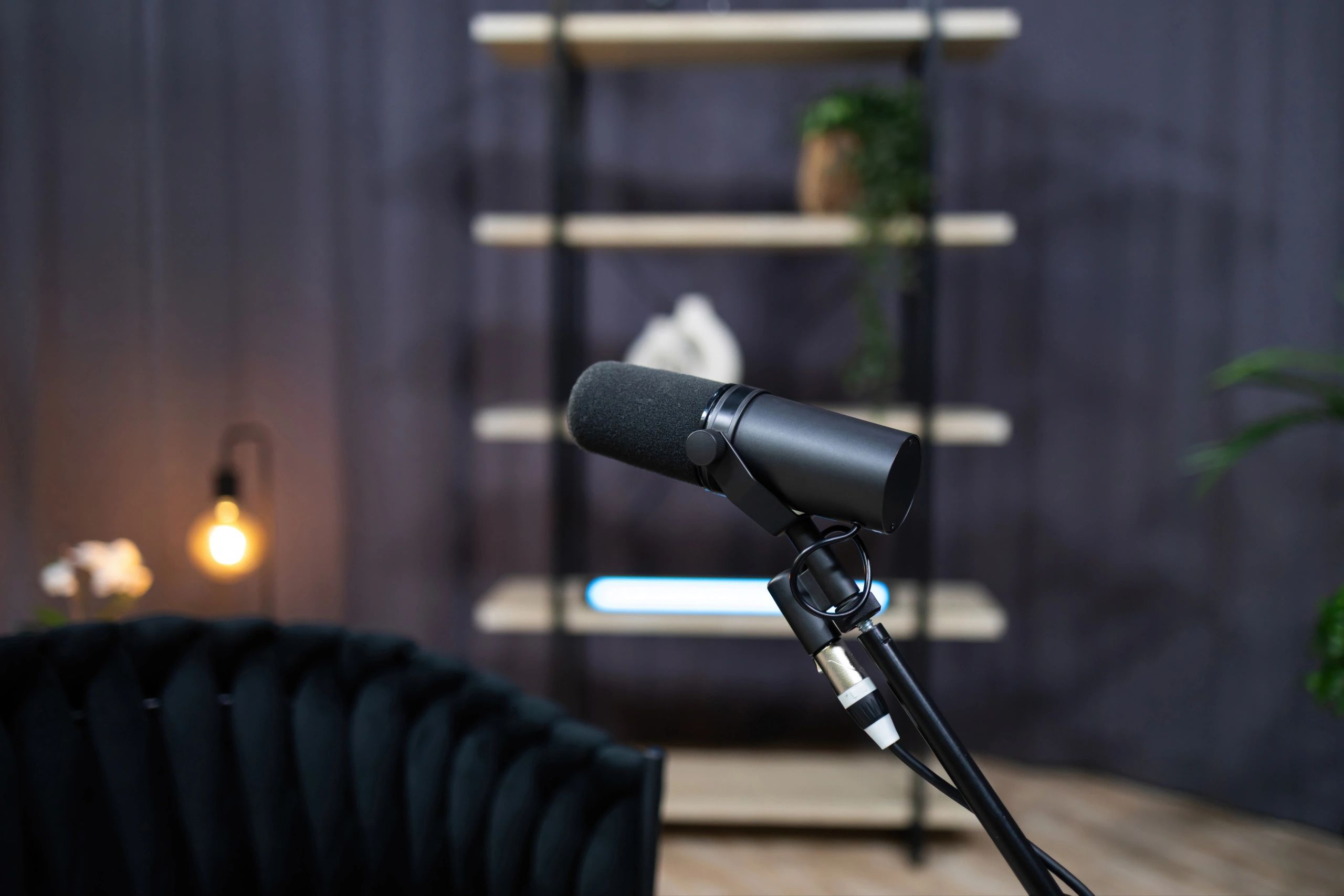 Professional microphone ready for recording